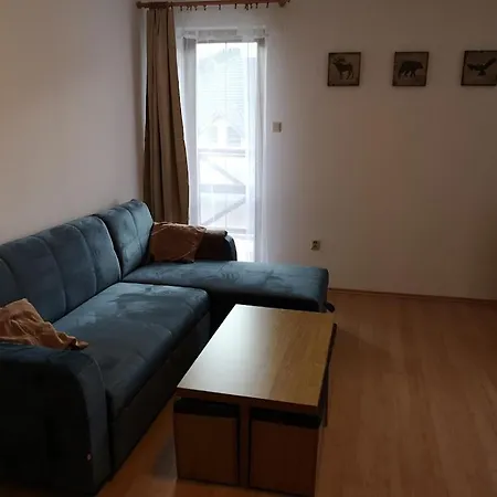 č.12